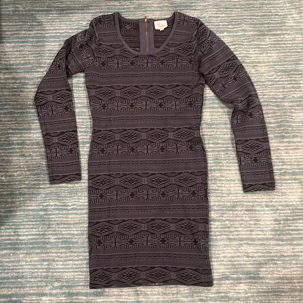 Parker bodycon dress